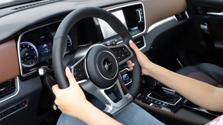 20 Zotye Coupa салон