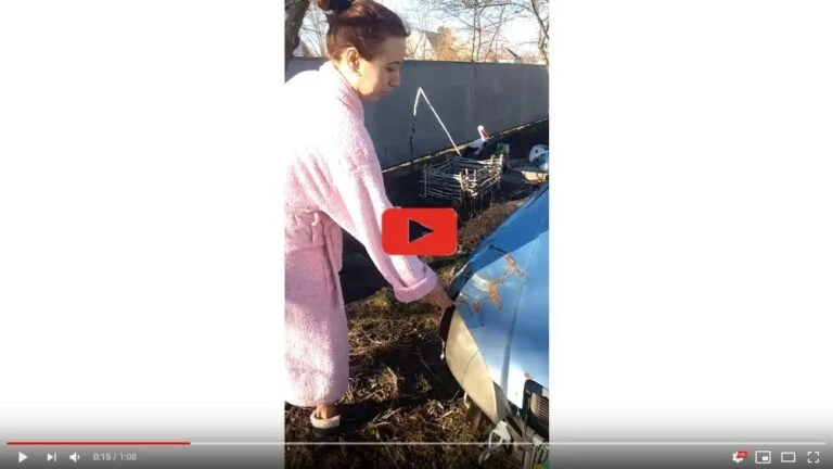 смешной обзор