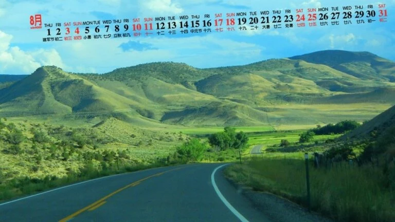 автомобили август