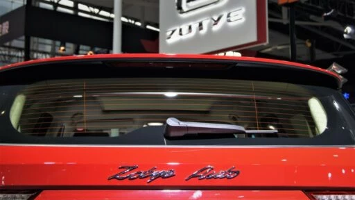 Zotye в России