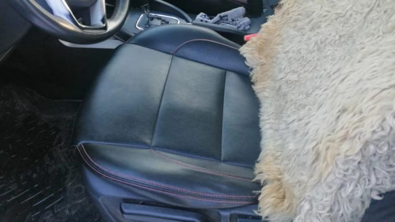 changan_cs_35_probeg_7 changan cs35