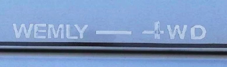 wemly логотип