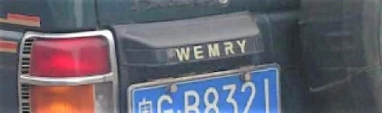 wemry логотип