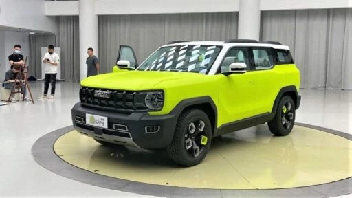 haval x dog