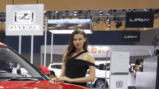 zotye в России