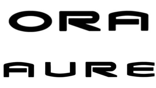 ora в россии