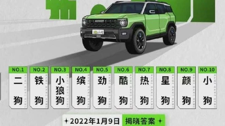 «Хот дог»? Вместе угадываем серийное название внедорожника Haval X Dog