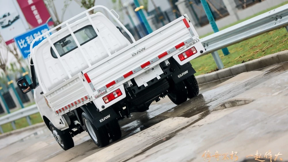 BAW Whale Card T8 сзади