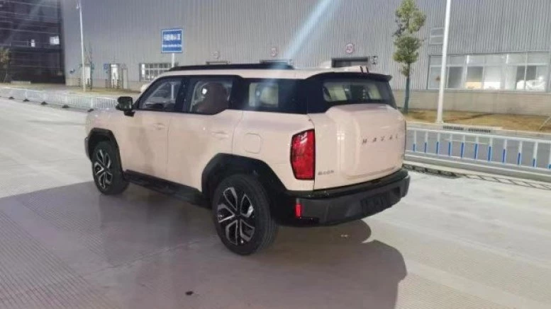 Haval Cool Dog сзади