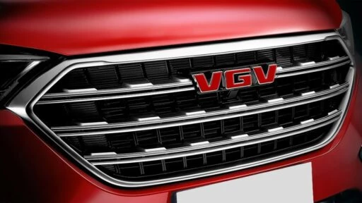 VGV в России