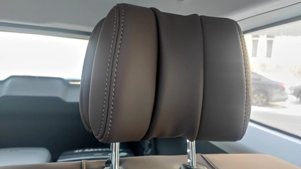 Exeed VX Limited Edition салон подголовник