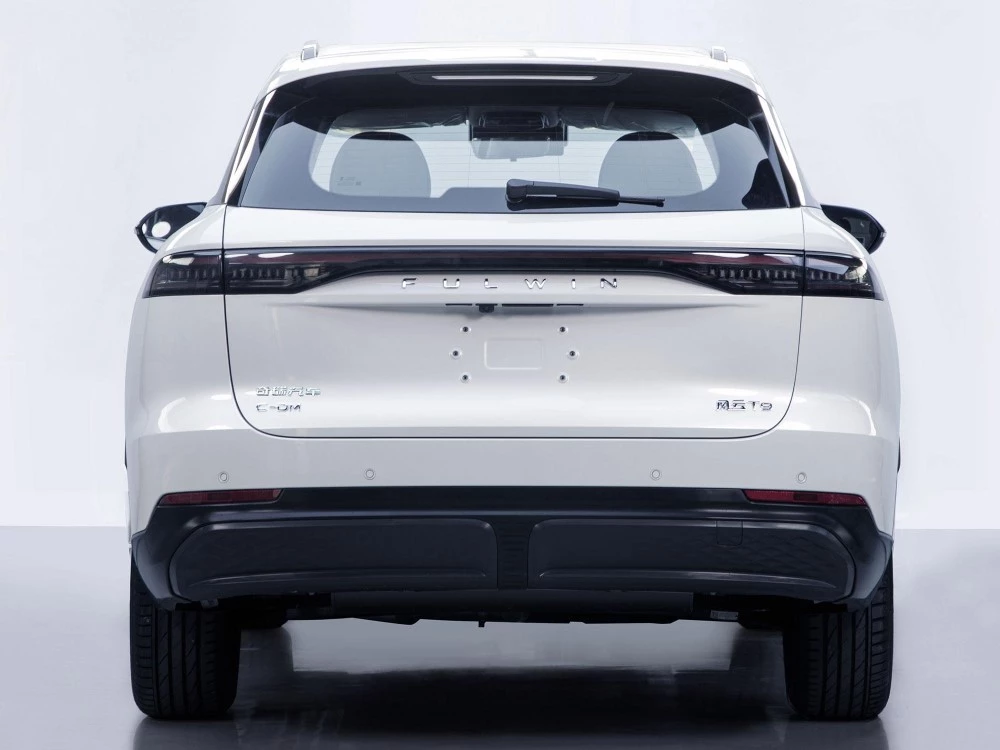 Chery Fulwin T9 сзади