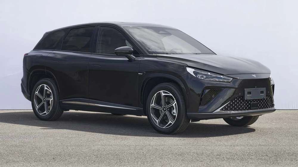 Neta L сбоку спереди