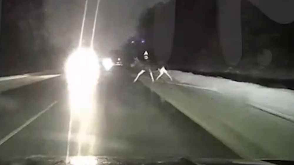 Лосиный тест. Geely прокомментировала ДТП с несработавшими подушками безопасности у Monjaro geely monjaro подушки дтп с лосем