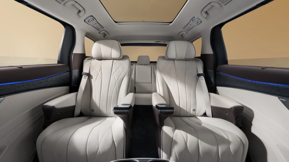 Denza D9 салон интерьер второй ряд сиденья пассажир