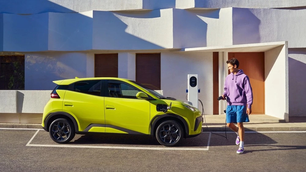 BYD Dolphin Surf Seagull на зарядке сбоку