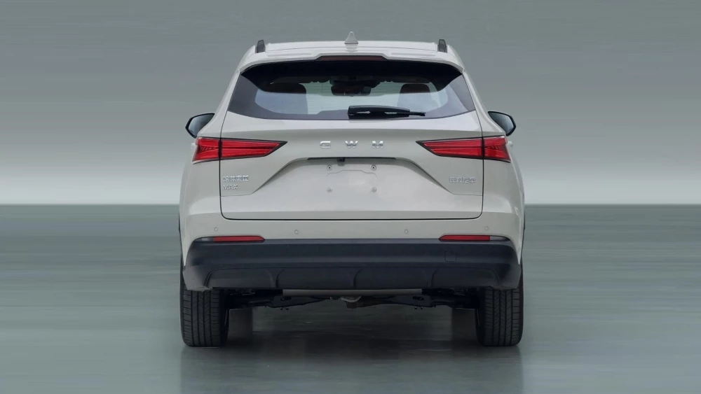 Бензиновая версия кроссовера Haval Xiaolong Max сзади