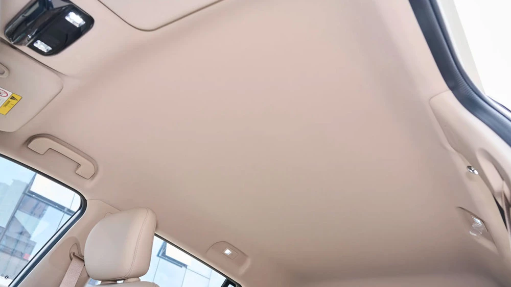 Электрический кроссовер Dongfeng Vigo салон интерьер крыша потолок