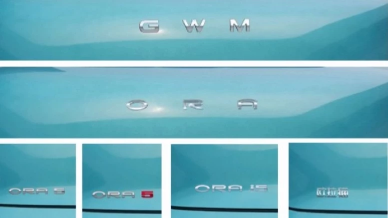 Электрический кроссовер Ora 5 i5 сзади шильдики