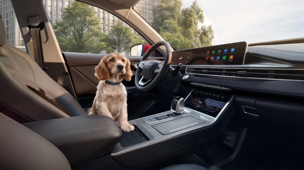 Tenet T4 салон интерьер собака сидит на сиденье водителя