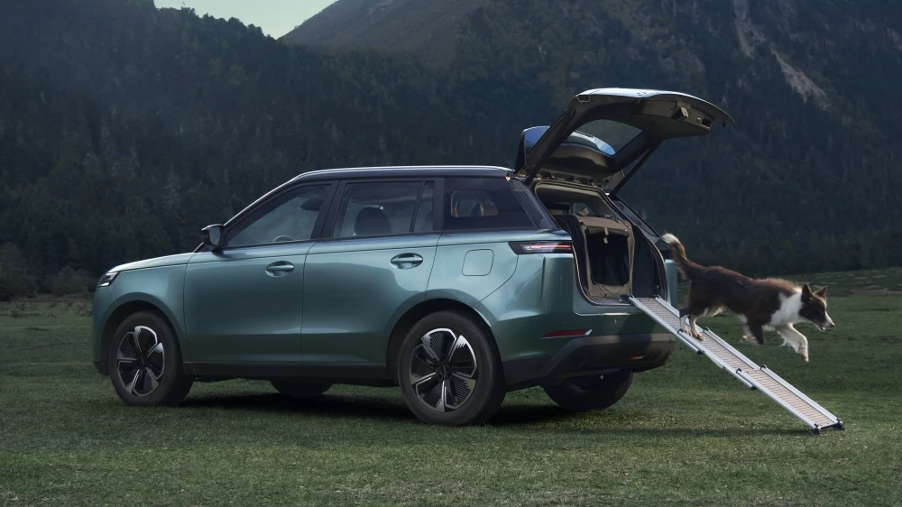 jaecoo j6 для России сбоку собака доска