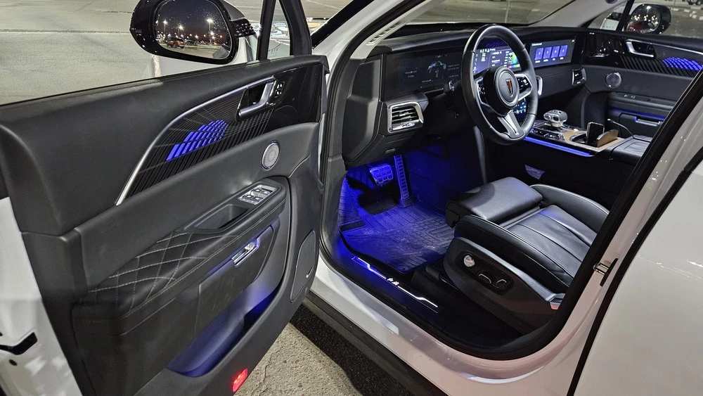 Hongqi E-HS9 тест салон интерьер первый ряд дверные карты проход вечерний свет подсветка атмосферная