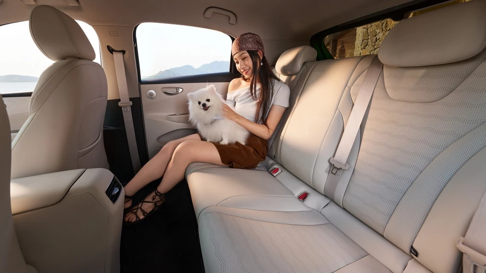 BYD Seagull салон интерьер новый
