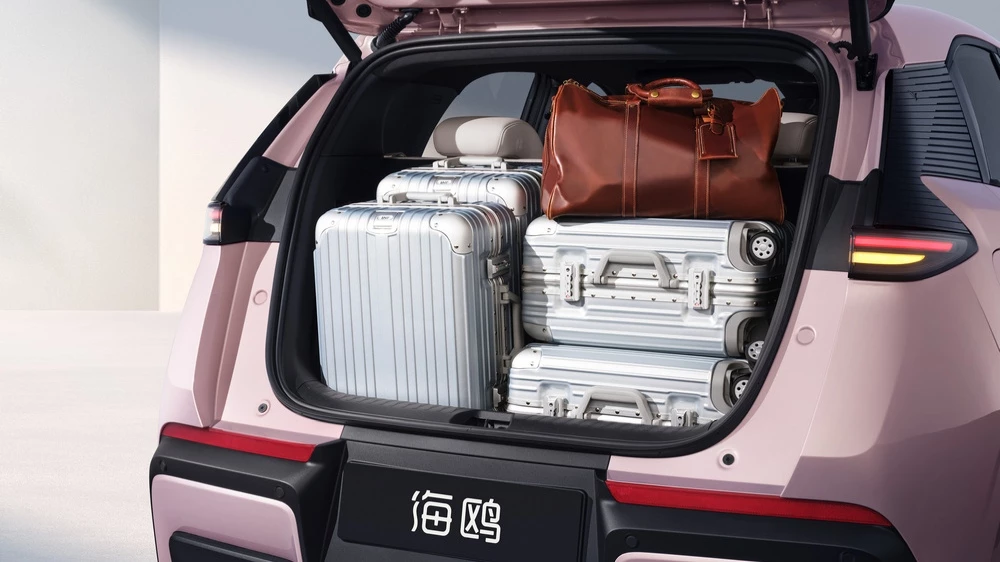 BYD Seagull багажник новый